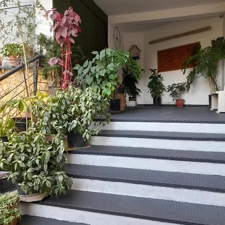 Kristi 03 Appartement Tirana