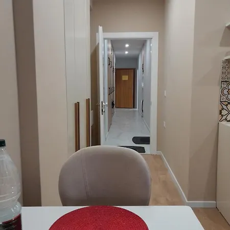 Kristi 03 ティラナ