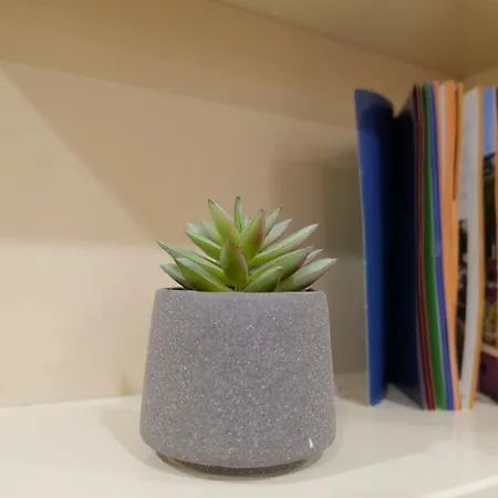 アパート Kristi 03 ティラナ